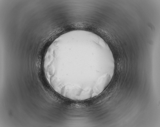 X0000112940739200909211133