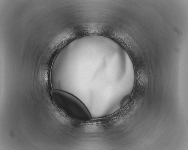 X0000112940740200909211133