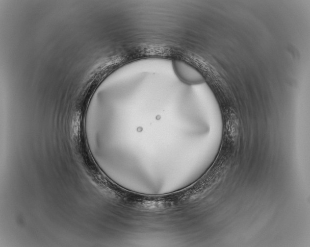 X0000112940744200909211133