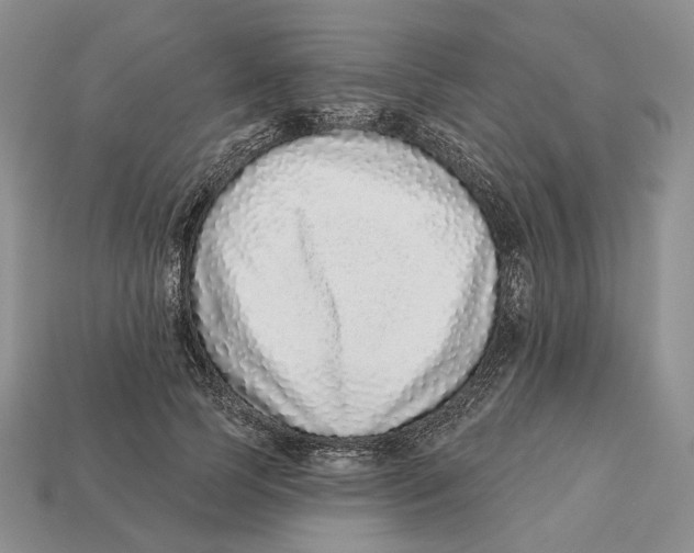 X0000112940745200909211133