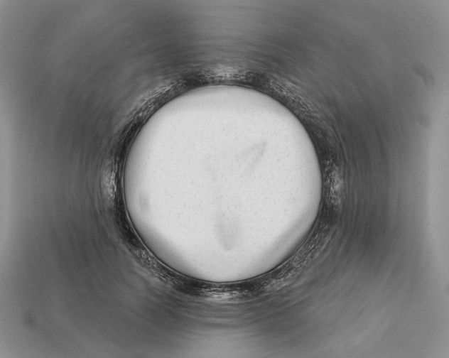 X0000112940746200909211133