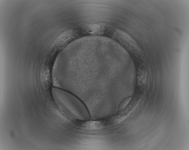 X0000112940748200909211133
