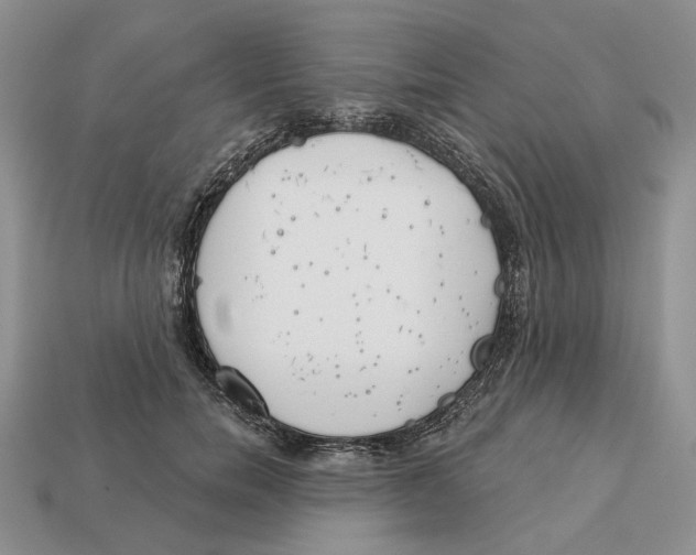 X0000112940750200909211133