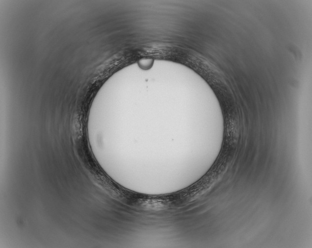 X0000112940751200909211133
