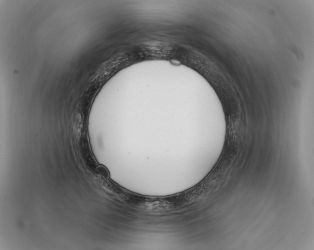 X0000112940752200909211133