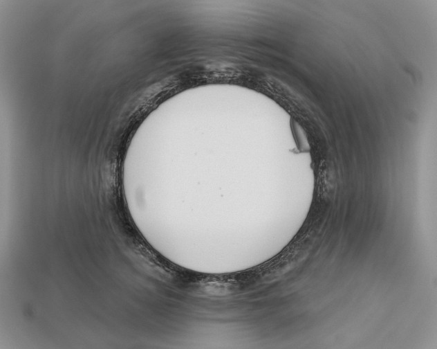 X0000112940756200909211133
