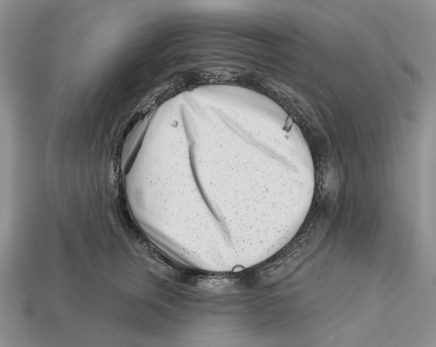 X0000112940759200909211133