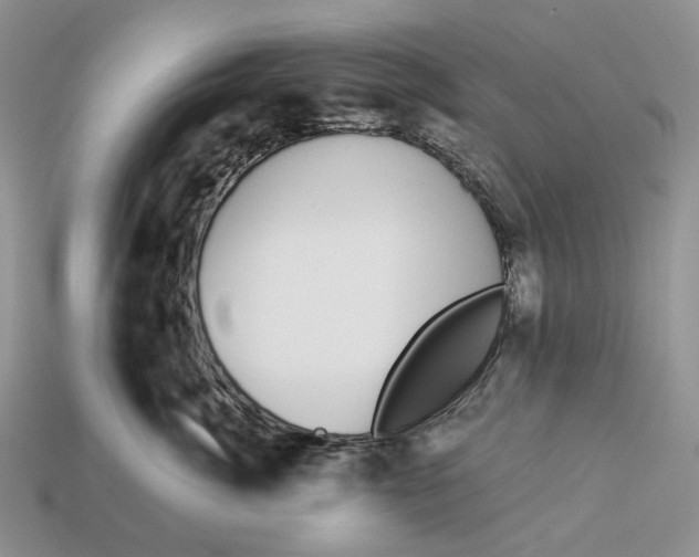 X0000112940764200909211133