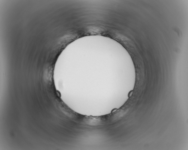 X0000112940768200909211133