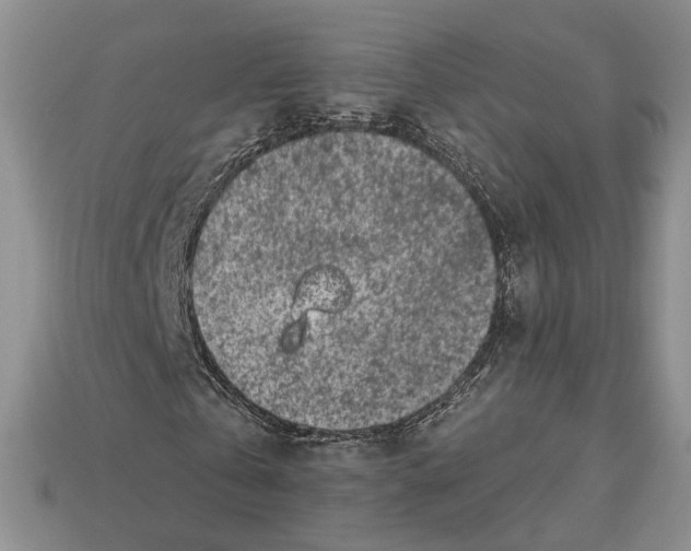X0000112940769200909211133