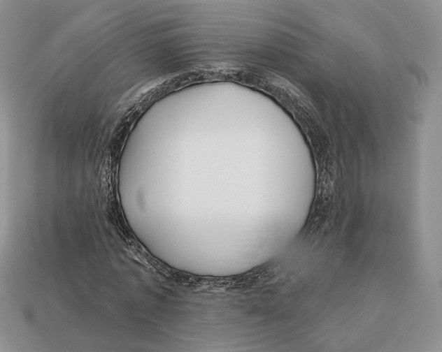 X0000112940773200909211133