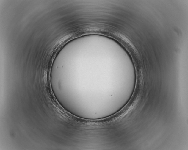 X0000112940777200909211133