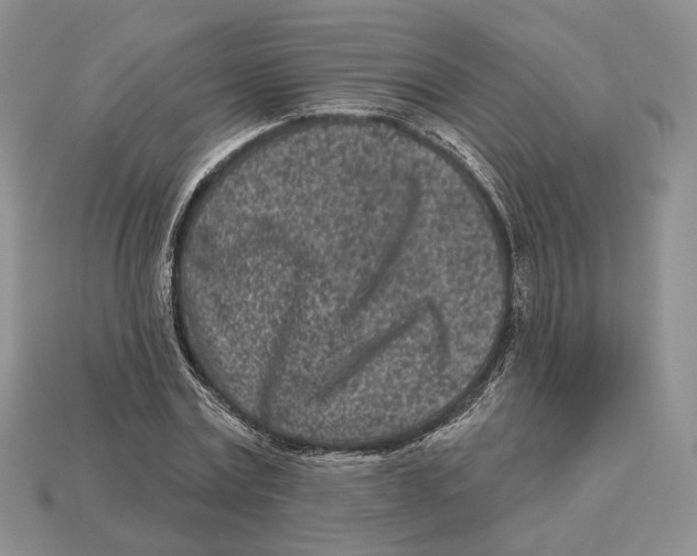 X0000112940779200909211133