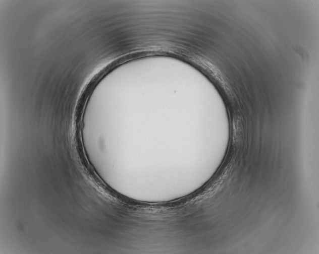 X0000112940780200909211133