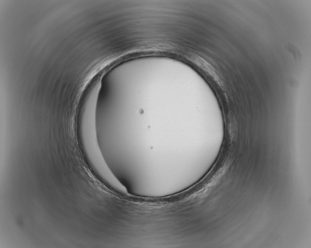 X0000112940781200909211133
