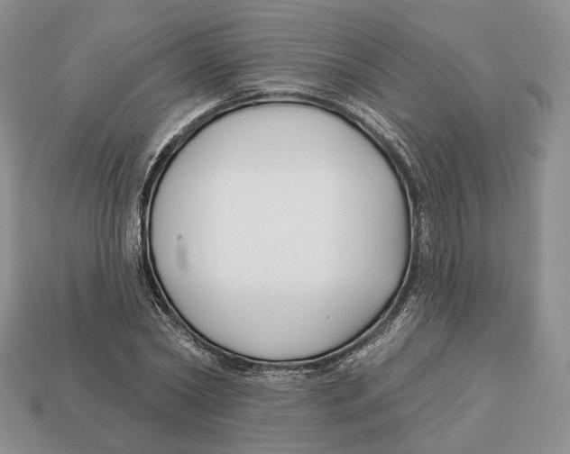 X0000112940782200909211133