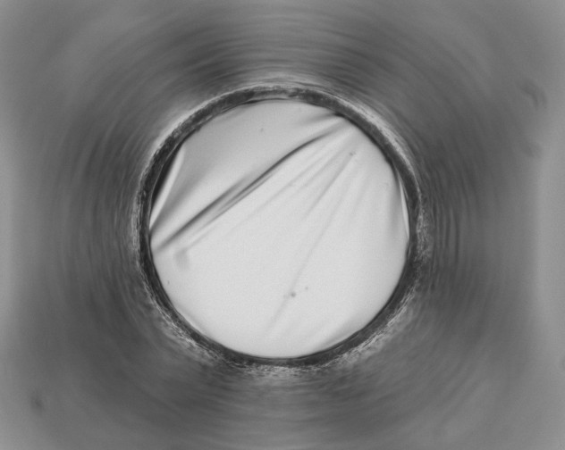 X0000112940783200909211133