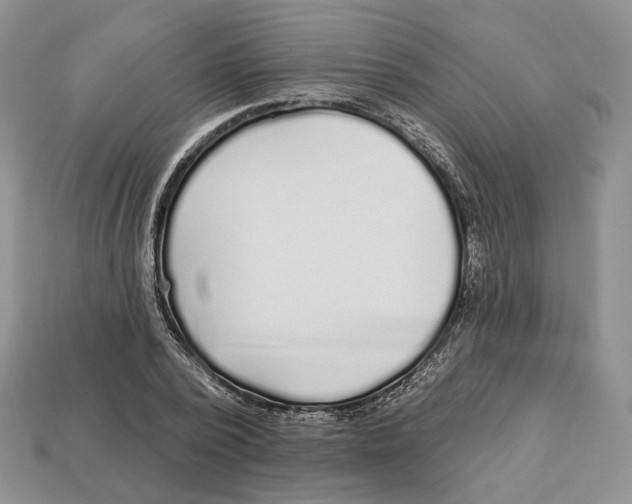 X0000112940784200909211133