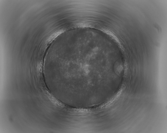 X0000112940785200909211133