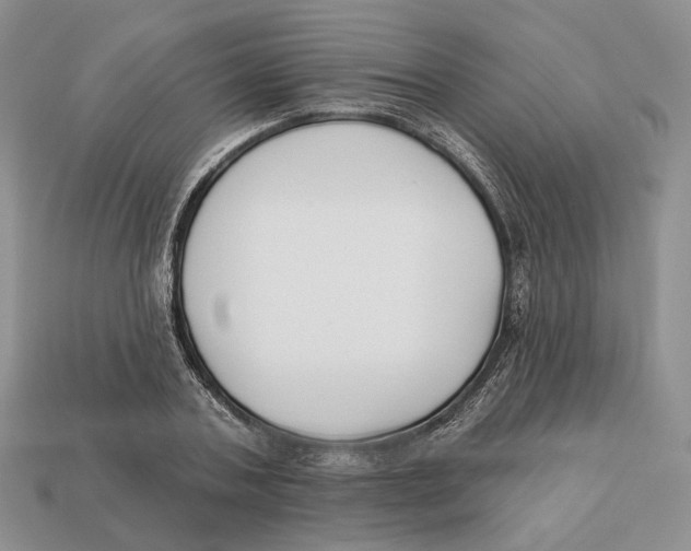 X0000112940787200909211133