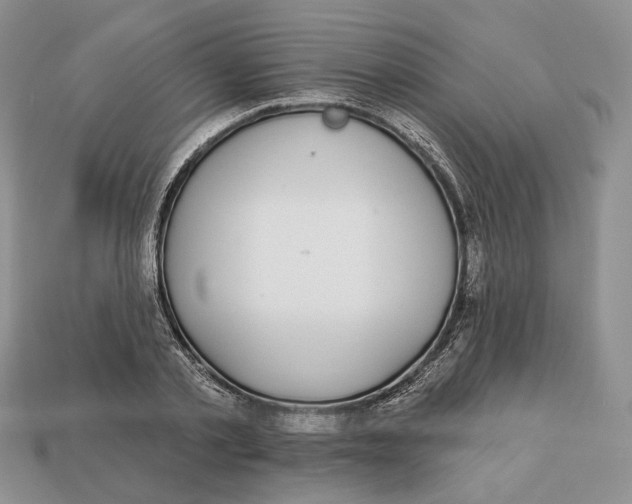 X0000112940789200909211133