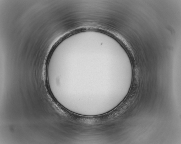 X0000112940791200909211133