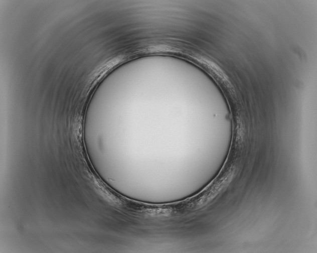 X0000112940793200909211133