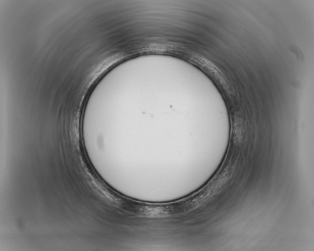 X0000112940794200909211133