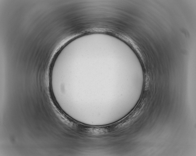 X0000112940795200909211133