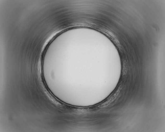 X0000112940796200909211133