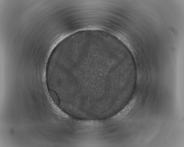 X0000112940797200909211132