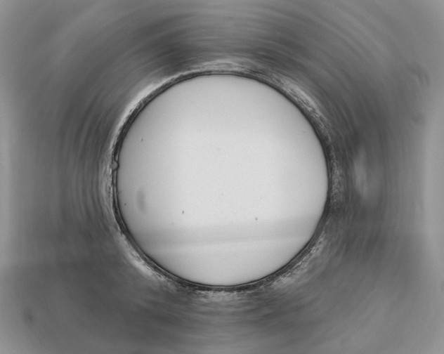X0000112940800200909211132