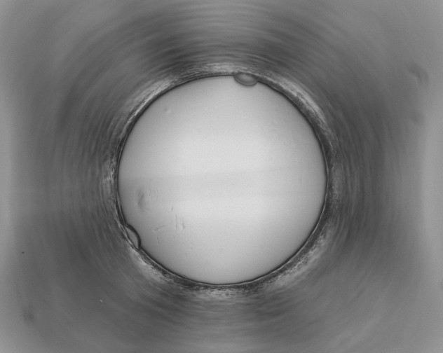 X0000112940801200909211132