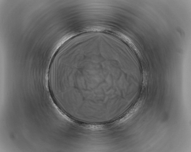 X0000112940802200909211132