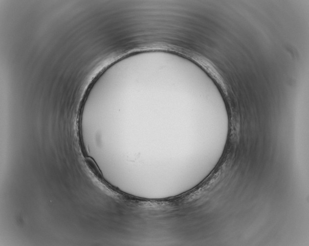 X0000112940805200909211132