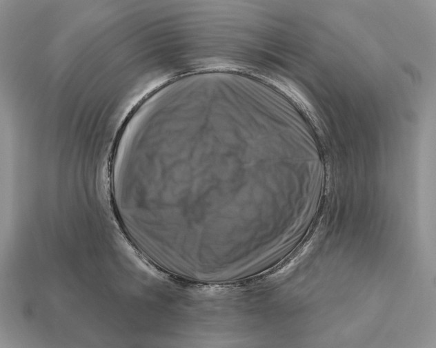 X0000112940806200909211132