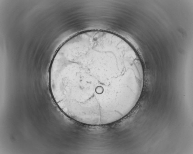 X0000112940807200909211132