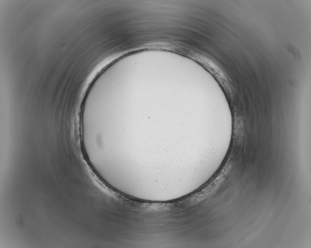 X0000112940808200909211132