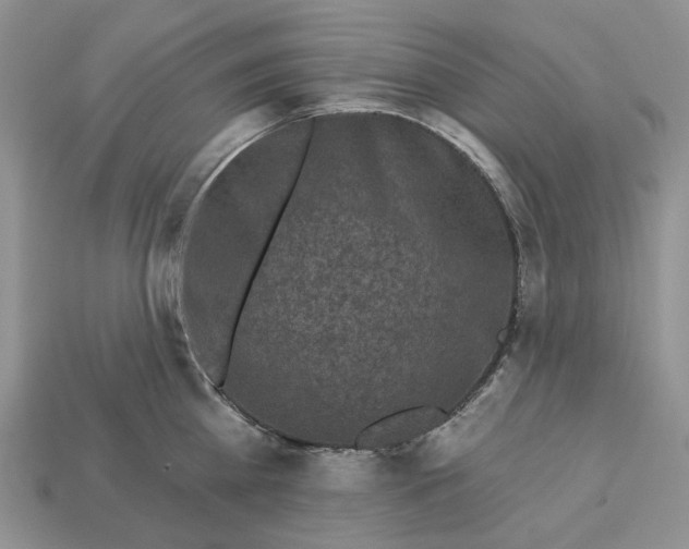 X0000112940809200909211132