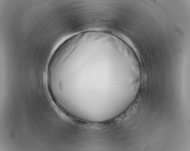 X0000112940811200909211132