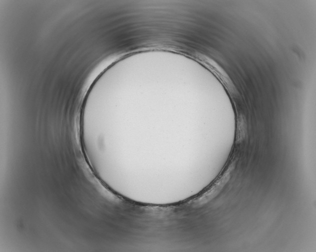 X0000112940812200909211132