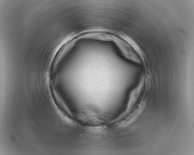 X0000112940813200909211132