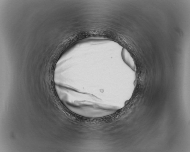 X0000112940817200909211132