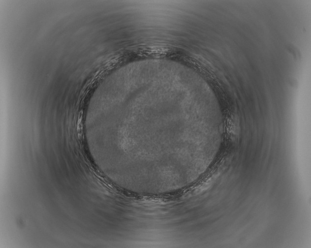 X0000112940818200909211132