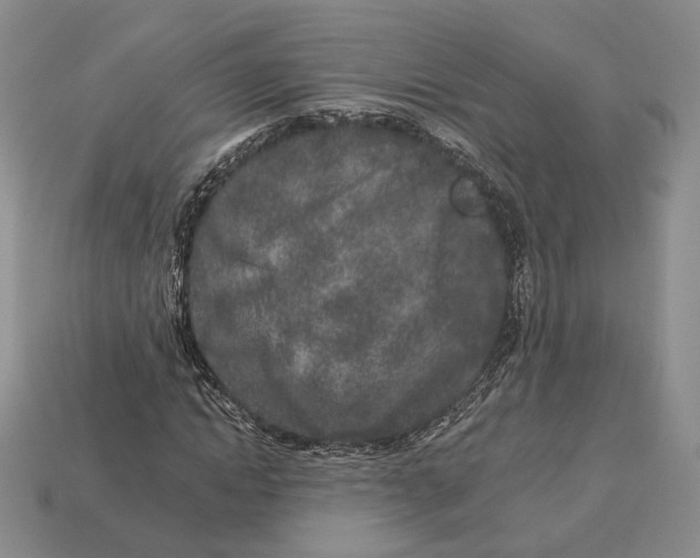 X0000112940822200909211132