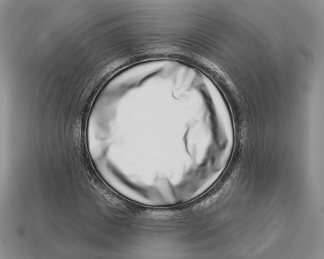 X0000112940825200909211132
