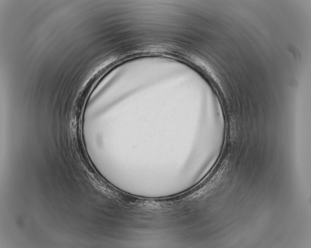 X0000112940827200909211132