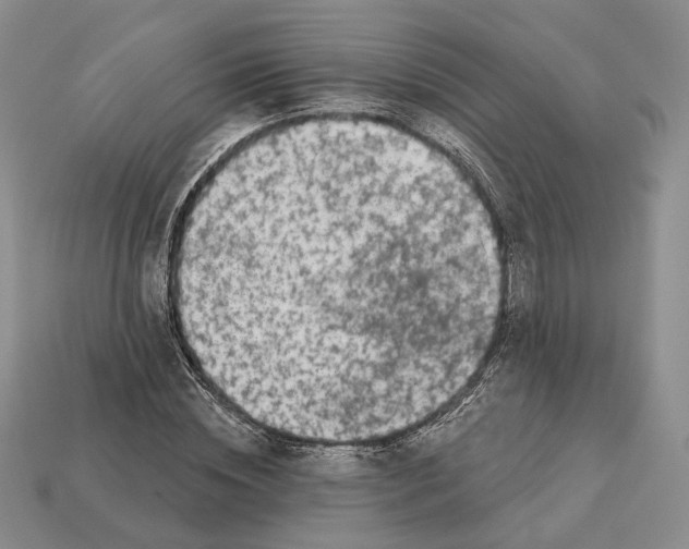 X0000112940828200909211132