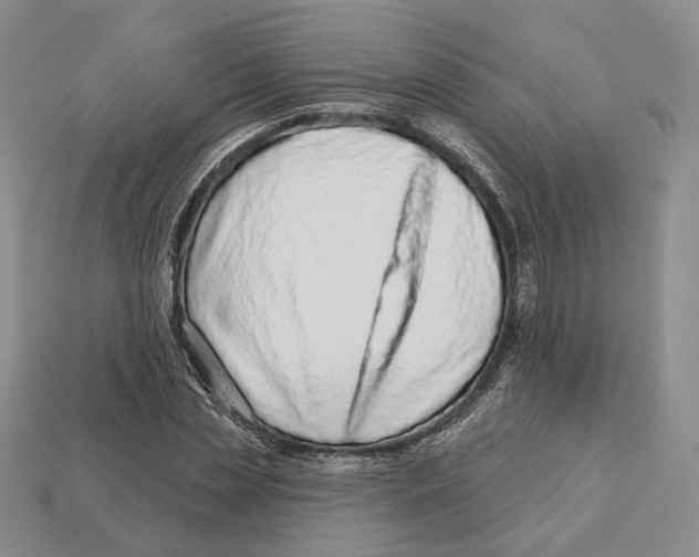 X0000112940829200909211132