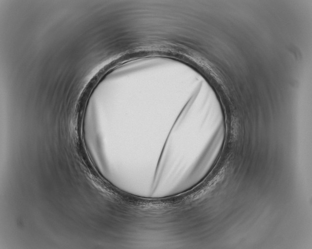 X0000112940830200909211132